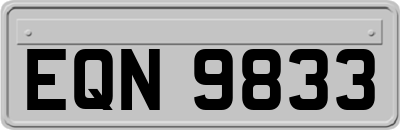 EQN9833