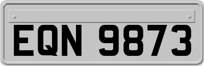 EQN9873
