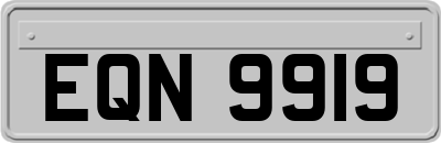 EQN9919