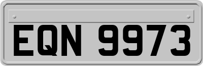 EQN9973