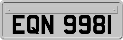 EQN9981