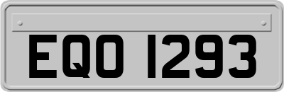 EQO1293