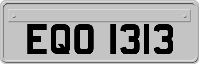 EQO1313