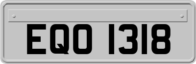 EQO1318