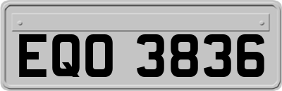 EQO3836