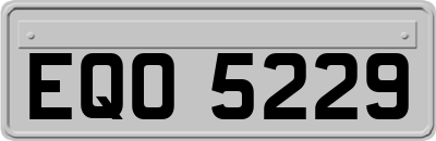 EQO5229