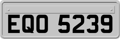 EQO5239