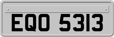 EQO5313