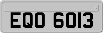 EQO6013
