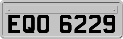 EQO6229