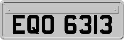 EQO6313