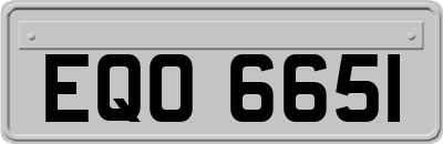 EQO6651