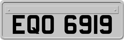 EQO6919
