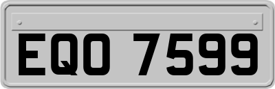 EQO7599