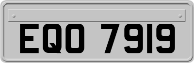 EQO7919