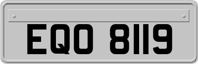 EQO8119