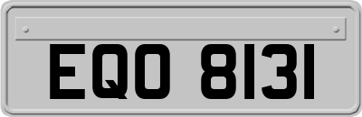 EQO8131