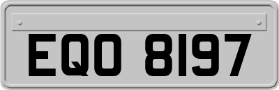 EQO8197