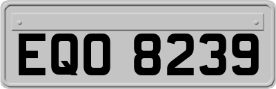 EQO8239