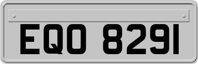 EQO8291