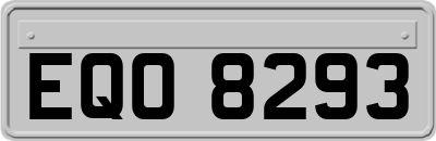 EQO8293