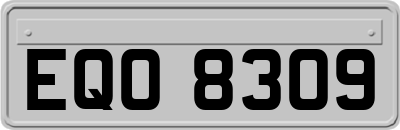 EQO8309