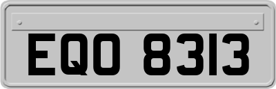 EQO8313