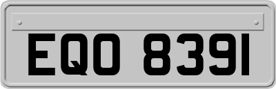 EQO8391