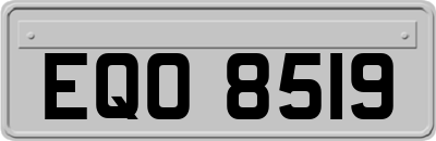 EQO8519