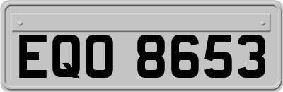 EQO8653