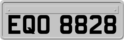 EQO8828