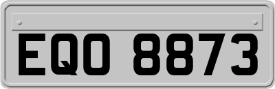 EQO8873