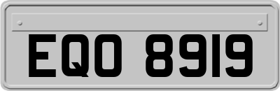 EQO8919