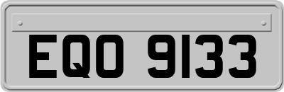 EQO9133