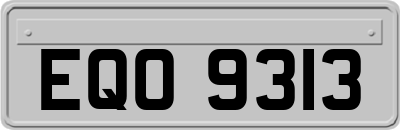 EQO9313