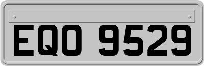 EQO9529