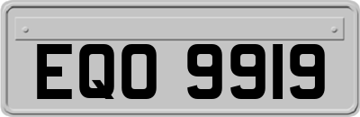 EQO9919