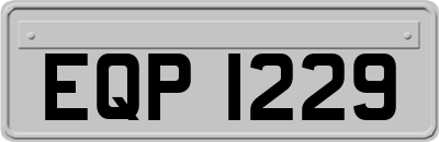 EQP1229