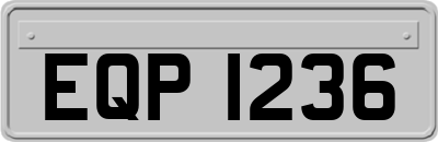 EQP1236