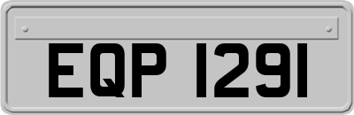 EQP1291