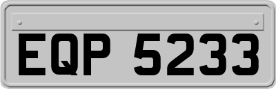 EQP5233