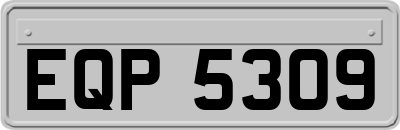 EQP5309