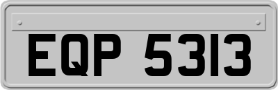 EQP5313