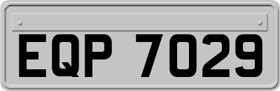 EQP7029