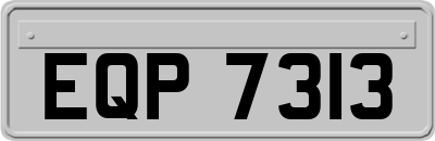 EQP7313