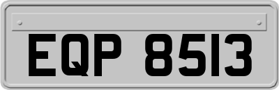 EQP8513