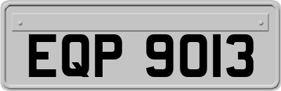 EQP9013