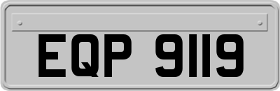 EQP9119