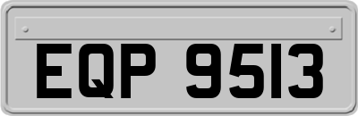 EQP9513