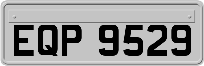 EQP9529